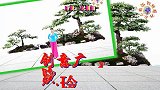 白墙抠像，创意广场舞《玲珑》演示：美梅