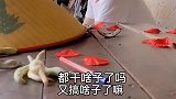 看到最后大家笑的安逸哦