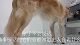 狗狗原来是这样救人的