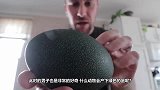 男子捡到奇怪的绿蛋，将其精心孵化，孵出后让人惊喜