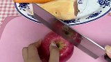 给崽崽们烘干水果啦