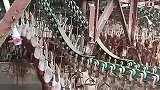 鸭子流水线，真是大开眼界了