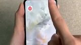 苹果用户看过来，如何提前用上iphone12