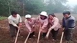开春了，老家人又在为了播种下功夫，一年的收成这一步最关键！