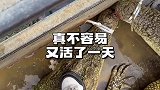 你猜猜我多大脚？