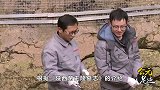 十三朝古都，古代帝王陵墓居全国首位的陕西，有何与众不同