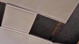 热个牛奶炸了锅掀了屋顶，这位小伙伴你保重