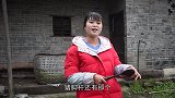 丫丫8元买了3根猪沙肝，做“凉拌猪沙肝”搭配辣椒油，真好吃