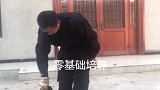 全科目马犬