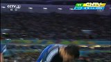 世界杯-14年-淘汰赛-决赛-阿根廷用到最后一个换人名额 戈上换下8号佩雷斯-花絮
