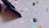 女子邀请同事夫妻来家中吃饭，家反被对方砸了，还拒绝赔偿