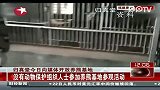 归真堂今日向媒体开放养熊基地