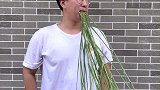 处处攀比的人生真的太累了