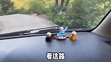 小丽阿姨来家做客，南南家人热情招待，把她当亲人对待