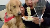 史上最牛的牛肉面