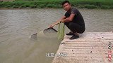 大闸河提下野鱼成群，小猛哥随便撒都草鱼爆网，鱼箱都快装不下了