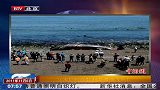 16米巨鲸在智利海滩搁浅死亡