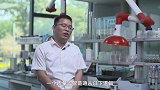 《信用中国》张杰 锌板革新 智造绿色新篇