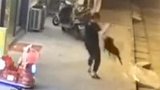 江苏南通：21人遇袭！伤人恶犬已被“抓捕归案”
