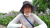 杭州天然大公园西溪湿地，徒步休闲的好地方，一圈下来神清气爽