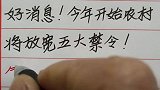 好消息！今年开始农村将放宽五大禁令！