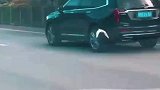 路上发现一只鸽子跟在车后面飞