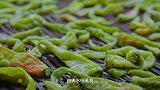 青辣椒晾晒三天蜕变成白辣椒，跟腊肉一炒，是湖南人最爱的下饭菜