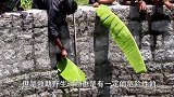 斑马的双腿被铁丝缠住，在经过好心人救助后，斑马的举动让人暖心