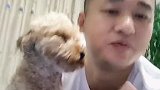 狗子女孩子适合养什么狗呢