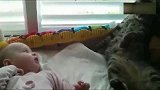 小主人睡醒了，猫咪不知所措，铲屎的你崽子醒了还不快来！