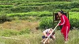 这位大哥娶了个贤内助，扛粮食都不用自己太操心！