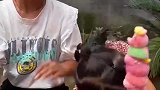 妹妹也要吃呢