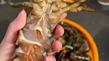 帝王蟹和波士顿龙虾，过年黄金搭档组合