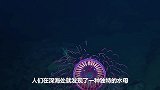 “哥斯拉”来了！身怀“缩骨”绝技，呼叫金刚还是奥特曼？