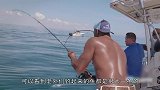 国外捕到怪物歌利亚石斑，镜头记录了整个过程，网友直呼刺激