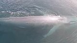 汽水恩怨情仇
