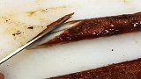 北京大厨这刀工秀的切鳗鱼，网友：不知道该怎么挑毛病，太赞了