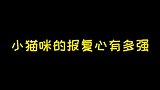 小猫咪的报复心太强了，接下来这一幕，真是防不胜防啊！