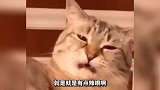 对付你一只手就够了 像极了你和你对象