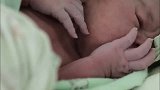刚出生的小宝宝趴在妈妈怀里，张着小嘴非条件反射想要找吃的