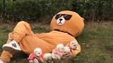 狗狗都偷走完了笨熊……