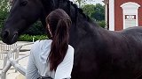 上过大学的飓风到底有多少小心思 马 这就是上过大学的宠物吗 青少年100问