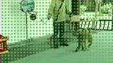 小猴子搞怪。
