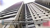 价值23万缅因猫坠楼，保姆被扣了工资和买菜钱