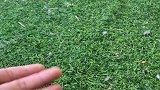 你们觉得这么听话的兔子油炸还是清蒸