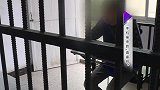 租豪车炫富骗感情，目标竟是女大学生，男子涉嫌诈骗被逮捕！