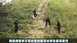 搞笑吐槽韩国重口味电影，300公斤级野猪成精，路边袭击小姑娘