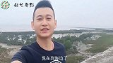 虎子下午赶海，红树林好多小螃蟹，捡了不少鲍鱼和大带子螺