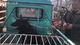 主人让狗贩子钳住狗脖子，一心牵挂自己的狗绳子