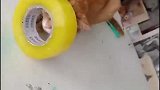 猫：主人我已经藏起来了，你还能找到我么！